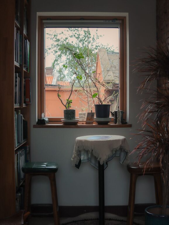 Tips for Creating a Cozy and Inviting Reading Nook in Your Home